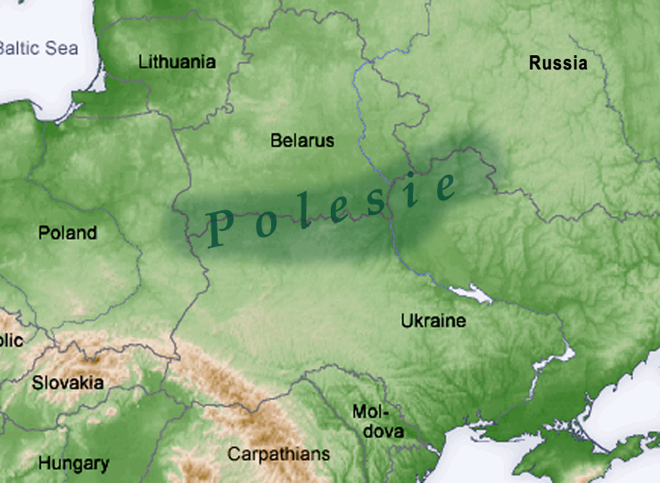kvali_app's tweet photo. Where did the Slavs actually come from?

The origin of early Slavic populations is best understood through a combination of hydronymy, archaeology, and formal archaeogenetic modeling. The current evidence points to a northern forest core centered in Polesia that integrated a southern, Carpathian-Dniester forest-steppe substrate prior to the main 6th-century migrations.

The Polesian Ecological Core
Linguistic and archaeological data anchor the early Slavic ethnogenesis in the Polesia region (the Pripyat basin across northern Ukraine and southern Belarus):

Hydronyms: The highest density of archaic, uncompounded Slavic river names occurs in the Pripyat and Dnieper river basins.

Linguistic Reconstructions: Proto-Slavic lacks inherited Indo-European terminology for high alpine terrain or coastal marine environments. Reconstructed terms like *gora originally denoted a wooded hill or forest rather than a mountain peak, while words for hills like *xъlmъ were borrowed from Germanic. Conversely, the lexicon contains an extensive, native vocabulary for bogs, fens, and riverine ecology.

Archaeological Succession: The 5th-century Prague-Korchak culture - characterized by square semi-subterranean dwellings with corner stone ovens and unornamented hand-made ceramics - shows direct typological continuity with earlier local groups in the forest-steppe zone, such as the Kiev culture.

Archaeogenetics and Pre-Expansion Admixture
While earlier models treated early Slavs as an unadmixed northern population, formal statistic and qpAdm modeling demonstrates that westward-expanding Slavs already carried southern, EEF-shifted (Early European Farmer) ancestry.

A standard three-way qpAdm model for early medieval Slavs from Moravia (Czechia_Breclav_EMA) yields a statistically robust fit:
55.9% Lithuania_IA (representing the northern Balto-Slavic forest core)

26.0% Ukraine_EIA_ThracianHallstatt (representing an Early Iron Age Carpathian/Dniester forest-steppe substrate, associated with horizons like Gáva/Holihrady)

18.1% Sweden_Skane_IA (representing Germanic-like drift absorbed along the Central European movement corridor)

This indicates that population contact between northern Balto-Slavic groups and southern Carpathian/Thracian-shifted populations occurred along the Dniester and forest-steppe margin before or during the initial movement into Central Europe.

Demographic Expansion
During the 5th and 6th centuries AD, the political vacuum left by the destabilization of Hunnic and Germanic hegemonies enabled this composite forest/forest-steppe population to expand rapidly. Paternal lineages such as I2a-Y3120 underwent severe founder effects during this period, leaving a distinct genetic signature across Central, Eastern, and Southeastern Europe.