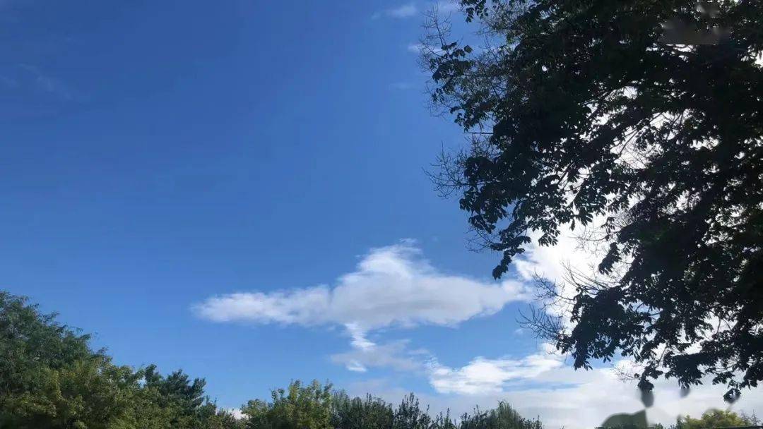 gomnara6's tweet photo. 忙里偷闲5分钟，摸鱼刷会儿云，今天的工作进度全在这朵慢悠悠的棉花糖里了，下周再着急也不耽误此刻的松弛～， https://t.co/kGe4ZtlmeS