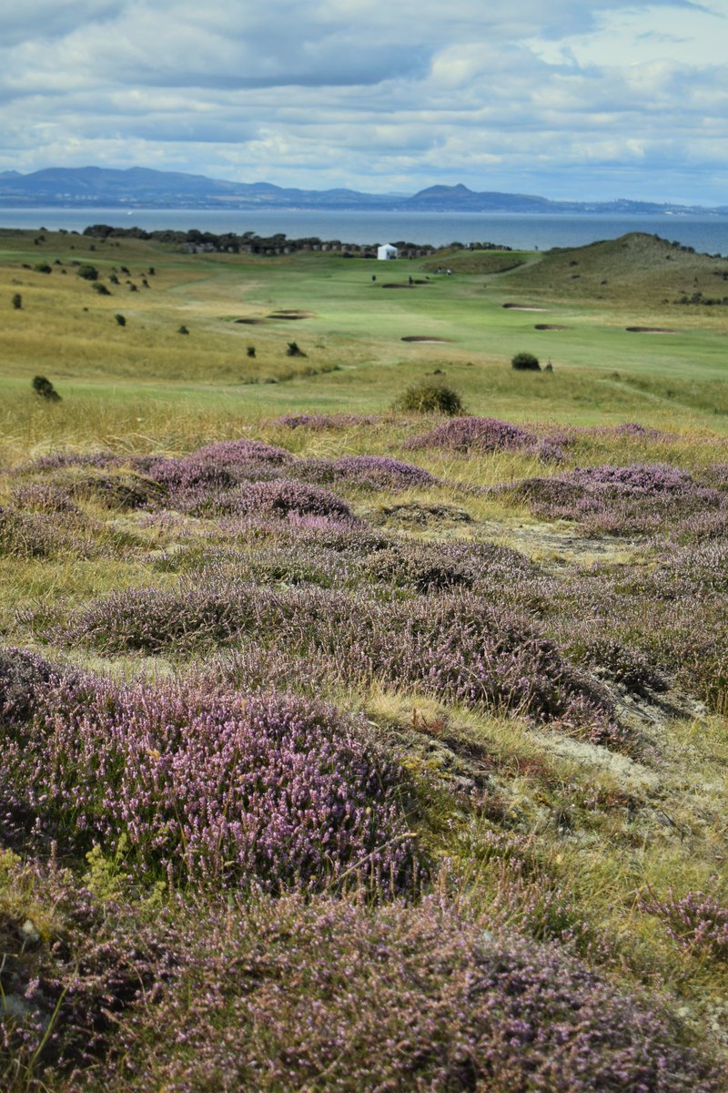 GullaneGolfClub's tweet photo. Great fun and friendship at our Invitation Day, as we welcomed our members’ guests for a fantastic day of golf on Gullane No.1 … https://t.co/eUTG3evCwl