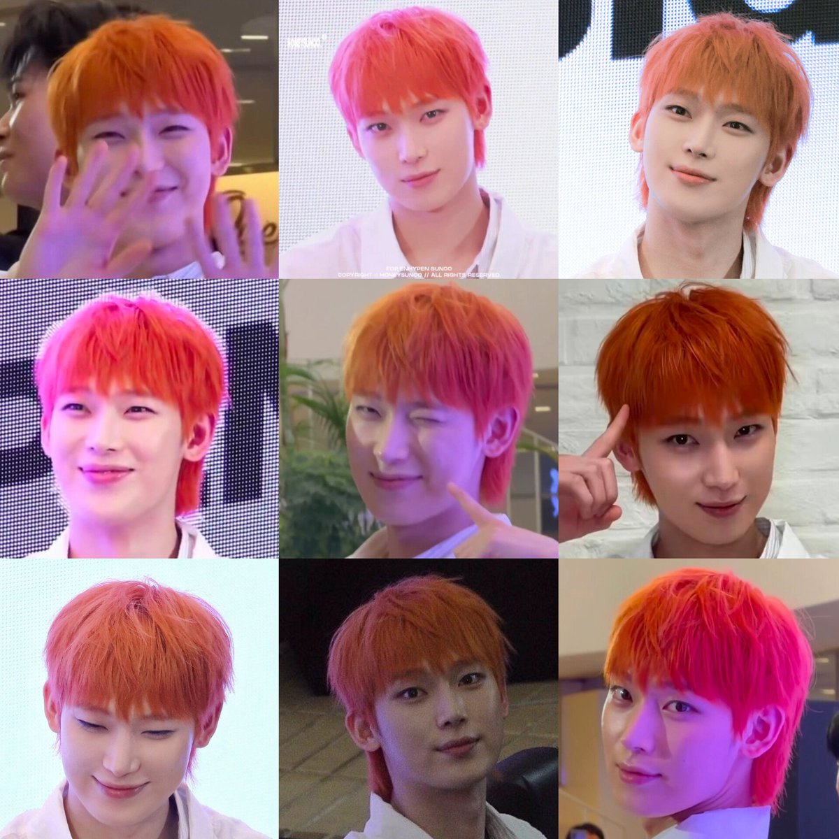hypersunova's tweet photo. foxnoo 🦊 carrotnoo 🥕 crabnoo 🦀 orangenoo 🍊 madarinoo 🍊 clementinenoo 🍊 phoenixnoo 🐦‍🔥 red pandanoo 🧡 butternut squashnoo 🧈 pumpkinoo 🎃 sweet potatonoo 🍠, tteokbokkinoo 🥢 buttercupnoo 🌼 marigoldnoo 🌼 autumn leafnoo 🍁 sunsetnoo 🌅 https://t.co/fV92R1P6TY
