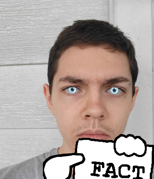 skootstein's tweet photo. @NotWarrior_Z and @H3K_Real embody everything wrong with the soysphere today https://t.co/ljJjkSYD2p