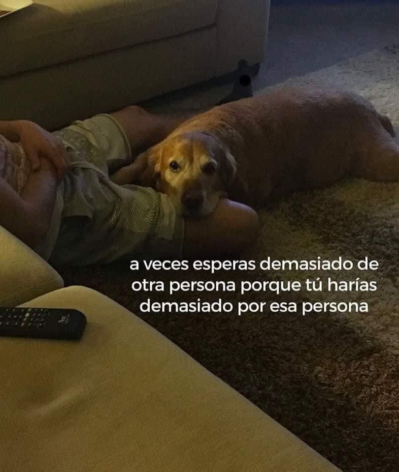ojoscol0rsol's tweet photo. https://t.co/bMVPGBW7mv