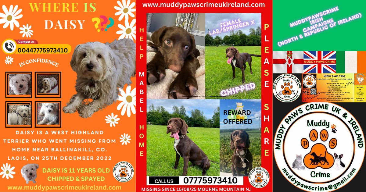 muddypawscrime's tweet photo. Please give a share a day for MUDDY PAWS CRIME Uk &amp; Ireland Ireland CAMPAIGNS (NORTH &amp; REPUBLIC OF )
All are also featured on our website https://t.co/xdO5WO4cxu and also have own specific Faceb@@k Groups (Link under their name on website) 
@MissingPetsGB  @rosieDoc2 @HunnyJax https://t.co/e8veSOIz2N