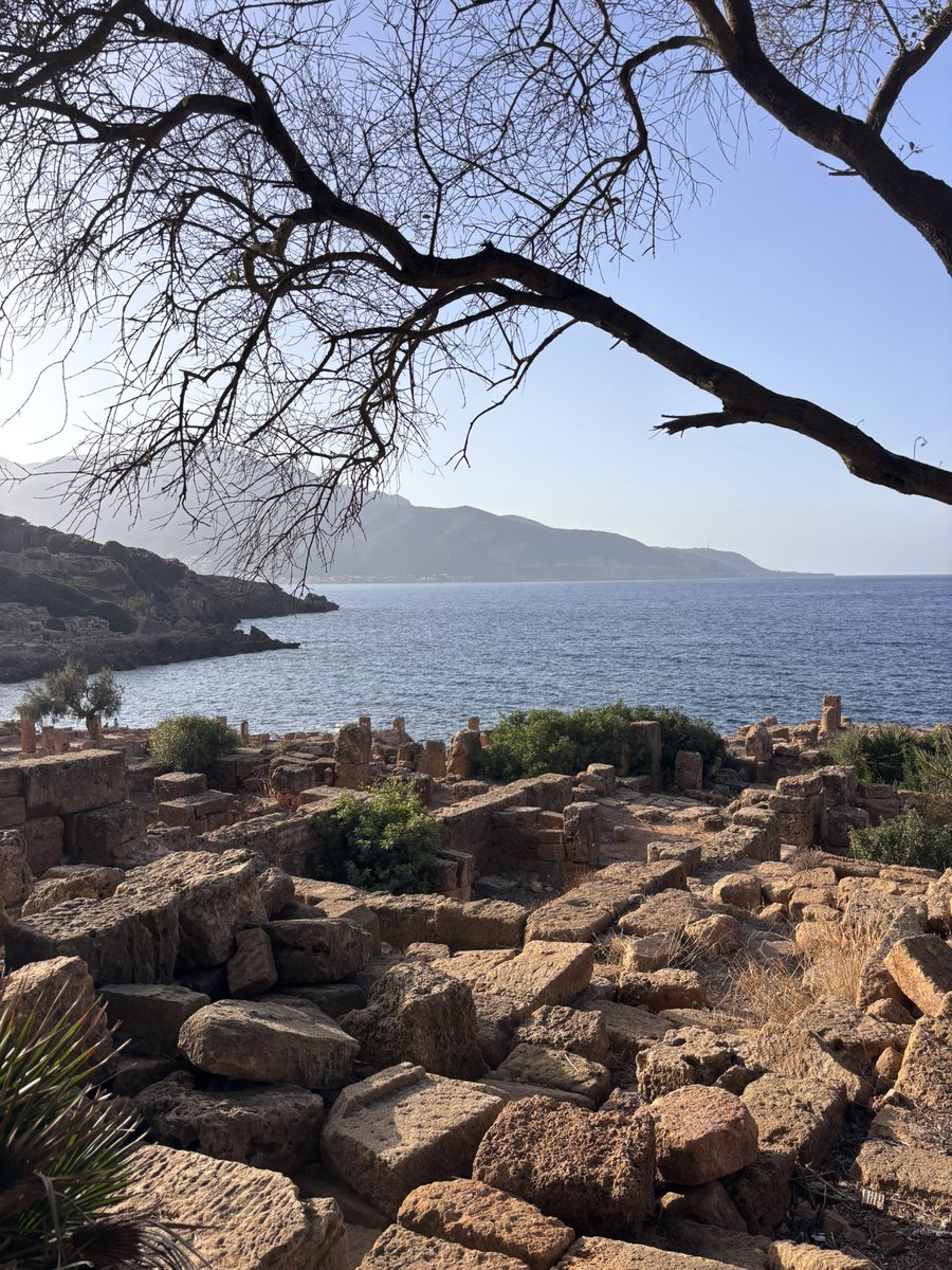 ysinme's tweet photo. Les Ruines romaines de Tipaza, je comprends l’admiration d’Albert Camus pour cet endroit https://t.co/yjUqQoY6MU