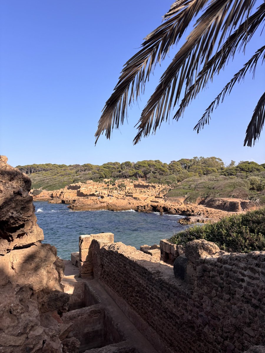 ysinme's tweet photo. Les Ruines romaines de Tipaza, je comprends l’admiration d’Albert Camus pour cet endroit https://t.co/yjUqQoY6MU