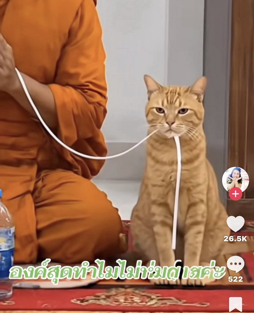 volleyppk's tweet photo. องค์สุดท้ายแต่งตัวไม่เรียบร้อยครับ
ทำไมน้องไม่ใส่จีวร 🤣 https://t.co/S3t5wnNjQ4