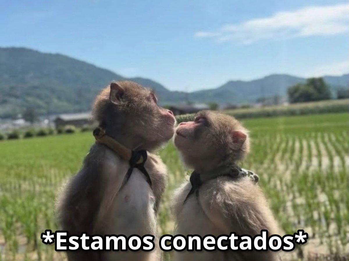 Guarromantico_'s tweet photo. Mi amorcito y yo cuando decimos algo al mismo tiempo: https://t.co/3chKtRAd7u