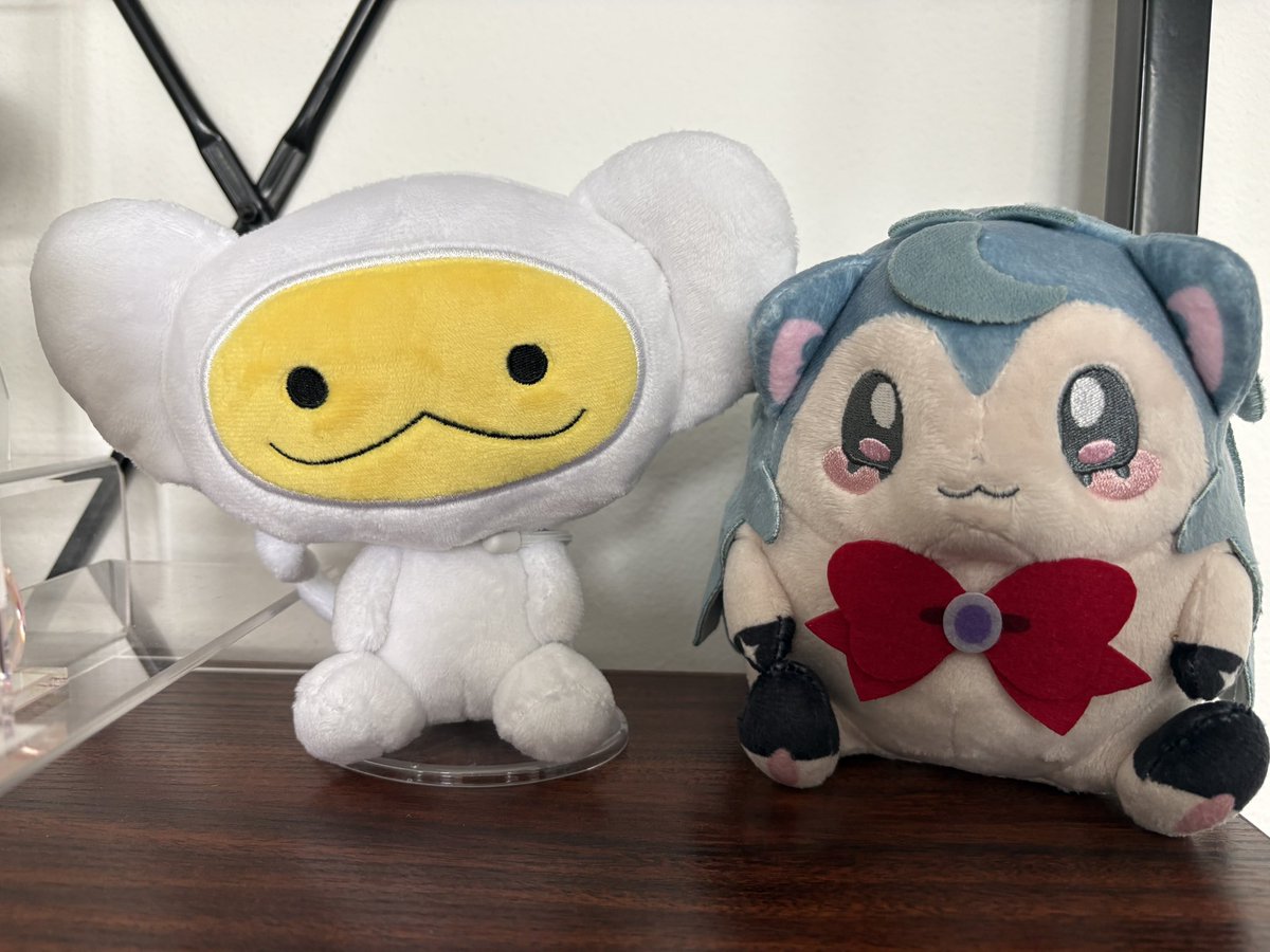 _parashutes's tweet photo. im crying why the debonheirs head is so big and flat 😭😭😭 fucked up lookin little dude https://t.co/fz84BYsjSl