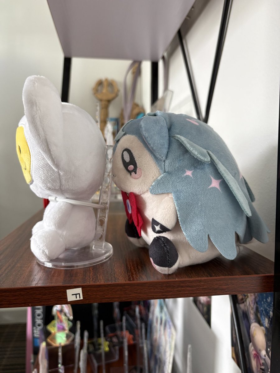 _parashutes's tweet photo. im crying why the debonheirs head is so big and flat 😭😭😭 fucked up lookin little dude https://t.co/fz84BYsjSl