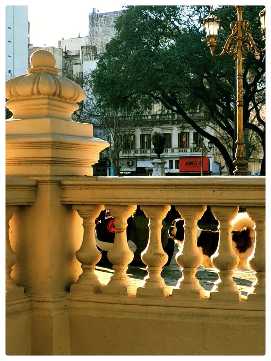 thealmendrita's tweet photo. en buenos aires hoy salió el sol, yo salí a mirar https://t.co/UsQvtrIswo
