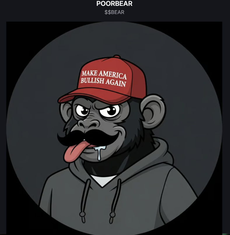 meetcraig's tweet photo. They laughed at the bear.
Then $CRAIG entered the market.

And soon, you'll start seeing them everywhere.
Bear after bear after bear.

$CRAIG didn't follow the trend of the bull.
$CRAIG started the trend of the bear.

The forest has been watching.
New bear coin launched on pump https://t.co/51iS3OGewz