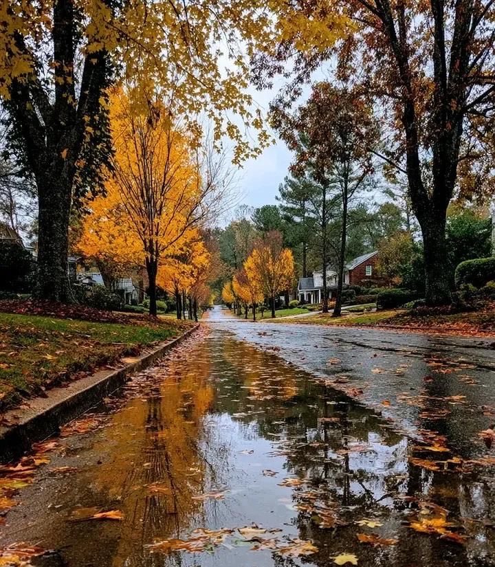 spooky_nature tweet picture
