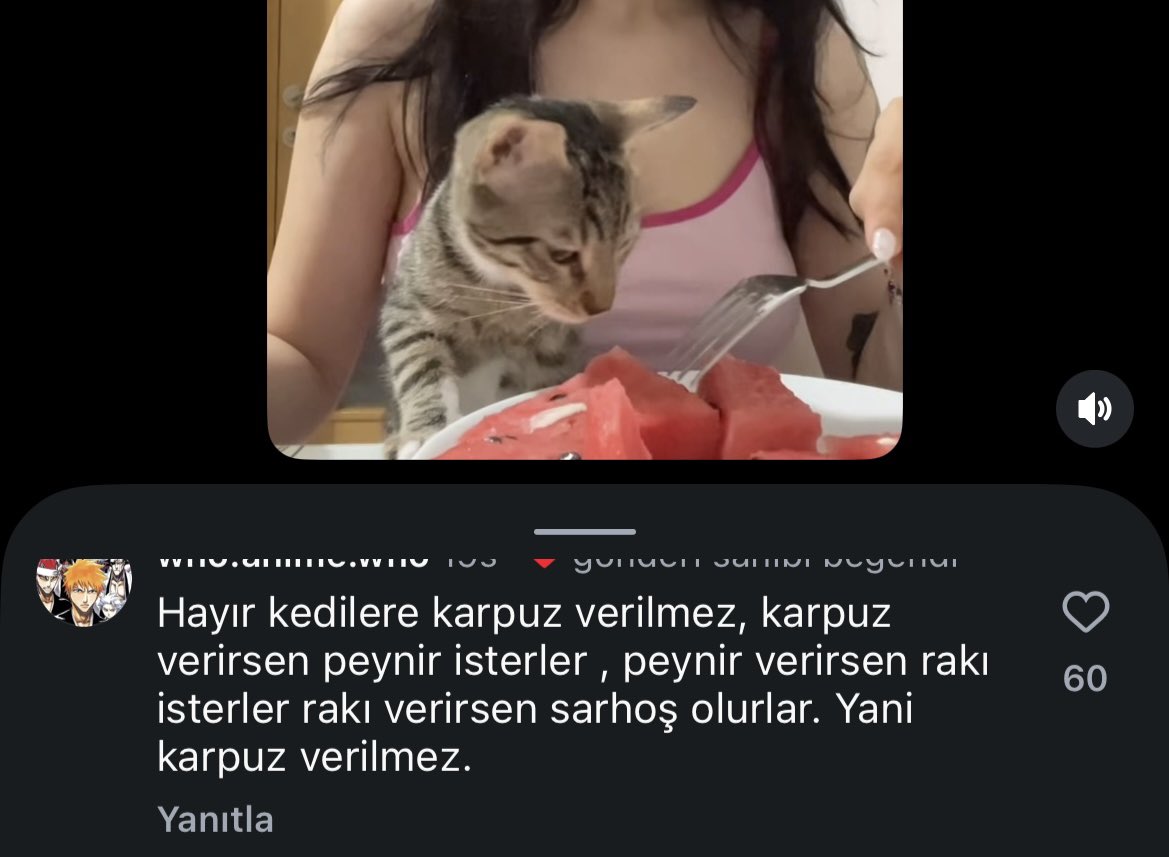 prettiestdiary_'s tweet photo. evet lütfen dikkatli olalim 🙏🏻🙏🏻 https://t.co/nq1QO7Too2