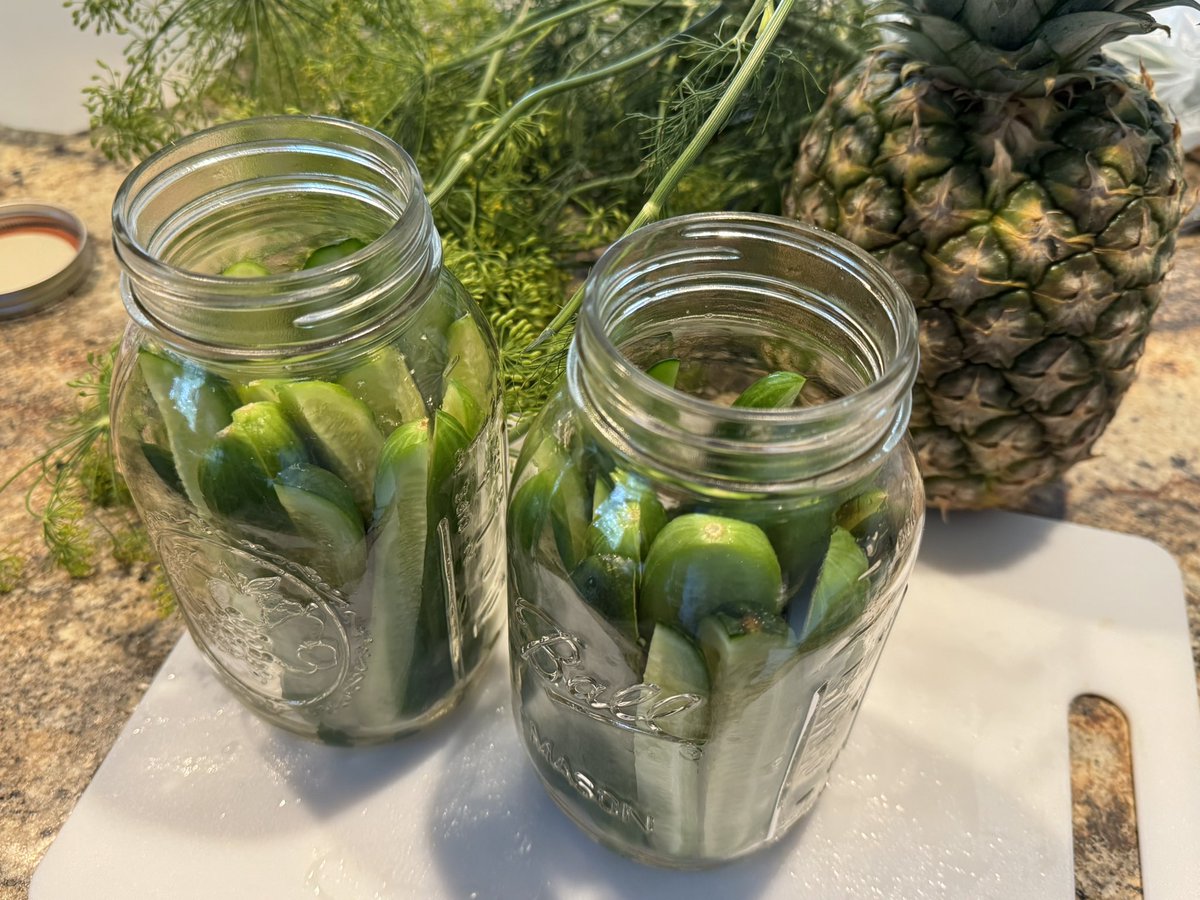 jimothygrill's tweet photo. Pickling, meal prepping, cooking marinated tofu, prepping burger/taco meat.

Sundays are great https://t.co/jXpY0xsdrY