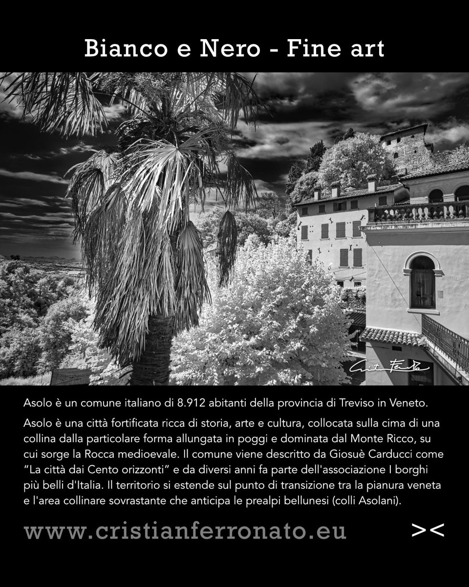 crisferro73's tweet photo. Asolo, la luce che non vedi.

Una palma, la Rocca sullo sfondo e tutto il verde che diventa bianco.
Asolo non è mai così drammatica ad occhio nudo. Lo diventa solo ad infrarossi.
Infrarossi: 680 nm

#veneto_infrared #fotografiainfrarossi #infraredphotography #veneto #asolo https://t.co/ZjkbFZOtLy
