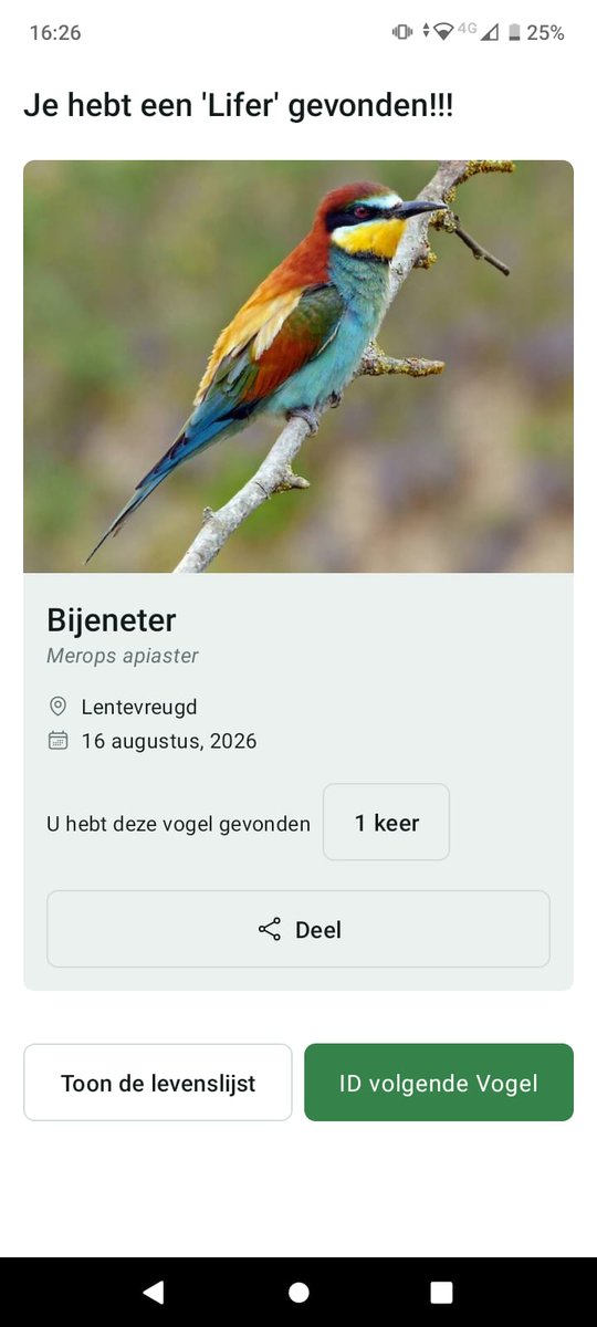 miichaelwave's tweet photo. went to visit a bee-eater colony, they were way too high for a pic but recorded audio! also saw some nice prey birds there :D https://t.co/CAaYXjdgWr