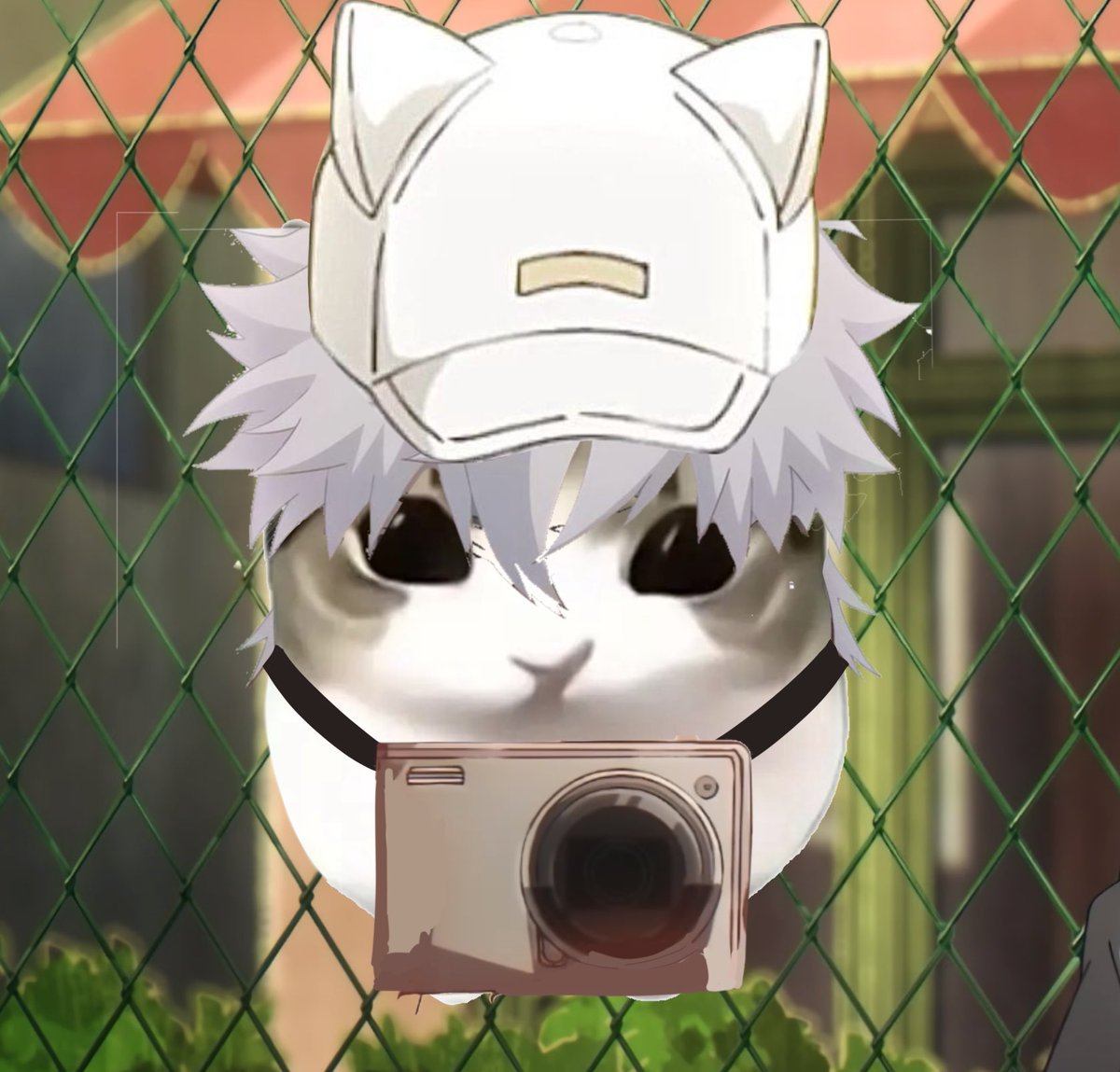 linkclicklover's tweet photo. made kitty guang kitty wearing kitty hat 

#linkclicktwt https://t.co/6M6ptBJbWv