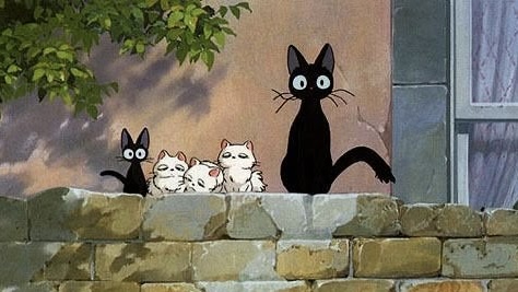 PopBase's tweet photo. Today is National Black Cat Appreciation Day. https://t.co/RIVr7vkSWq