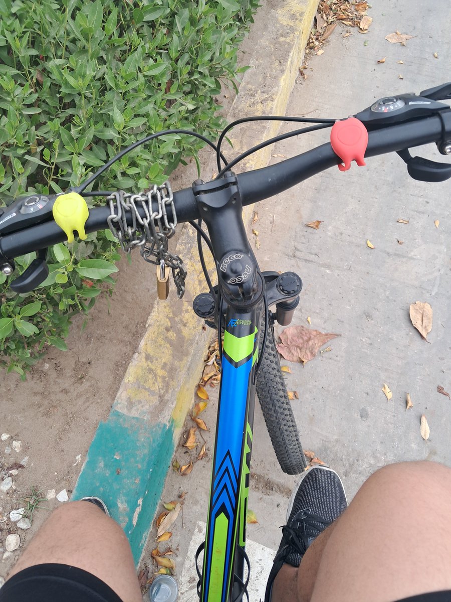 SoyAngcastro_'s tweet photo. Domingo de hacer ejercicio 🥵 https://t.co/wwYKibOzH6