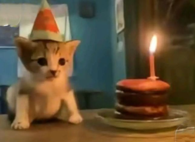 killkissy's tweet photo. 26 🥳 https://t.co/ulkNytFQzt