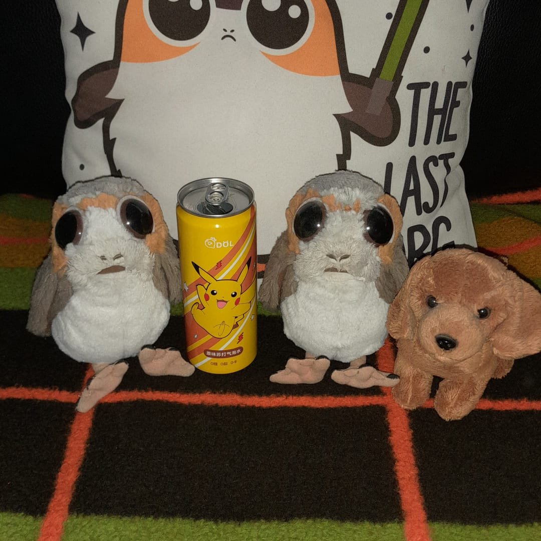 porgsen's tweet photo. Moin moin! A  friend of hooman bringed us several Pokémon sodas to drink and they all come with their own flavours. 😊 We continued with our tasting today - only to find out this can only contains sparkling water.  Cousin Bert and I feel betrayed! 😂 #porg #porgs #PorgeanEmpire https://t.co/HXy0gw0YOO