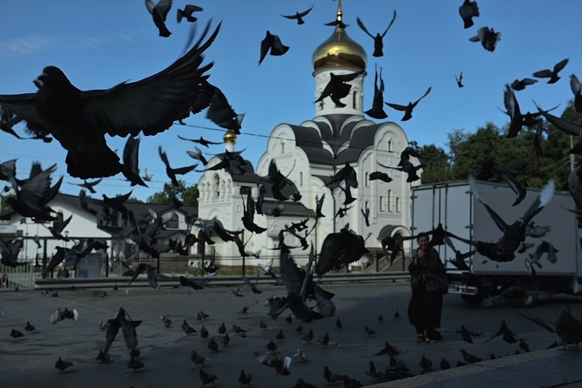 sindarinking's tweet photo. бродить в наушниках с камерой думать О или не думать вовсе https://t.co/n8WGZ7Opmh