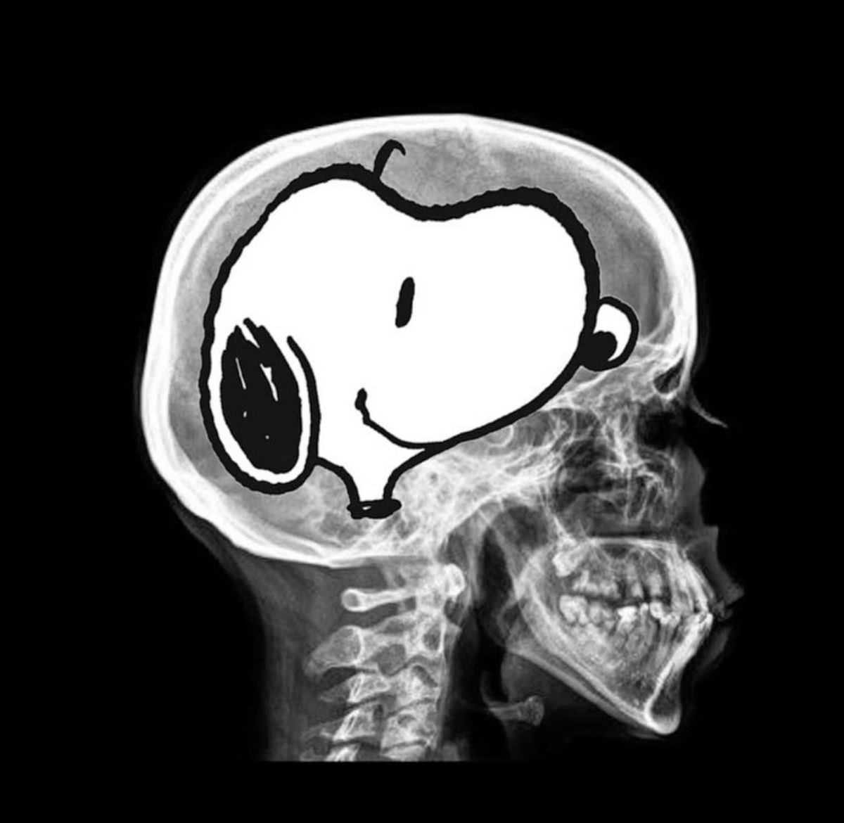 snoopy35b's tweet photo. https://t.co/UC0piGJAm5