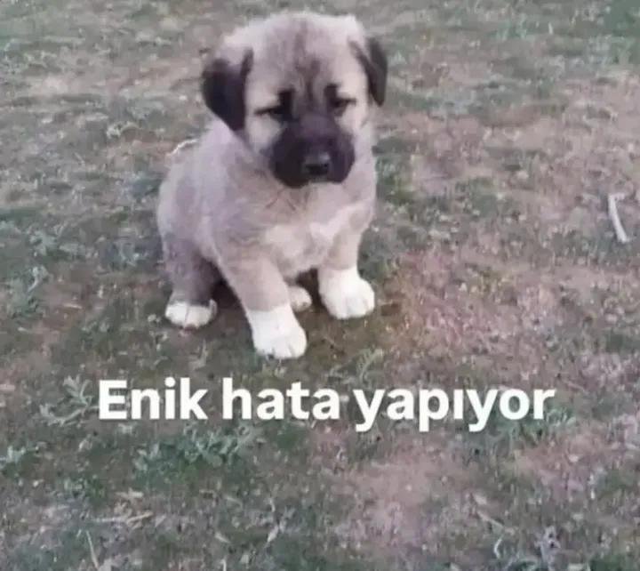sulecylnn's tweet photo. aldığım her kararda me https://t.co/PU13GTR9IU