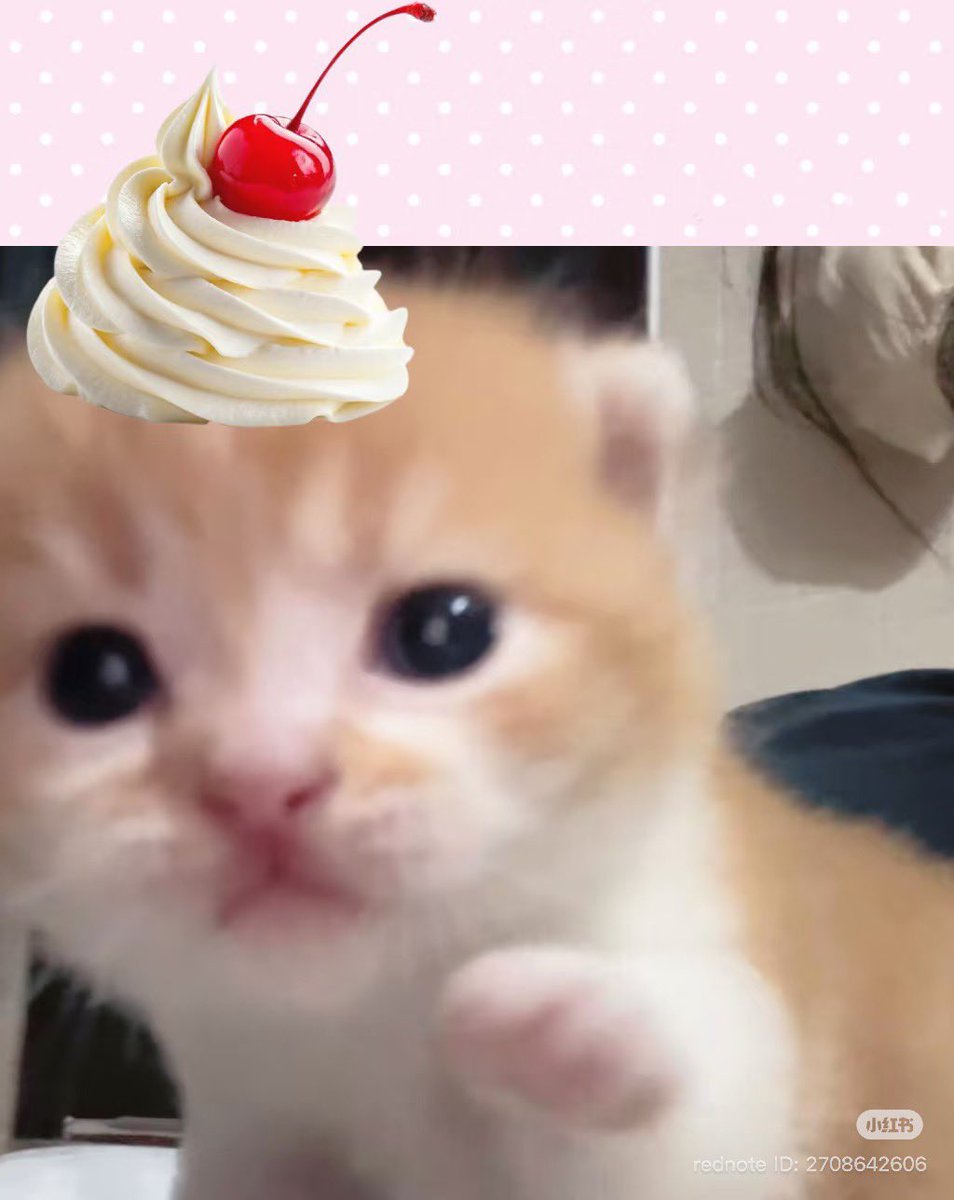 heartipink's tweet photo. https://t.co/YRyXc5VJ0S