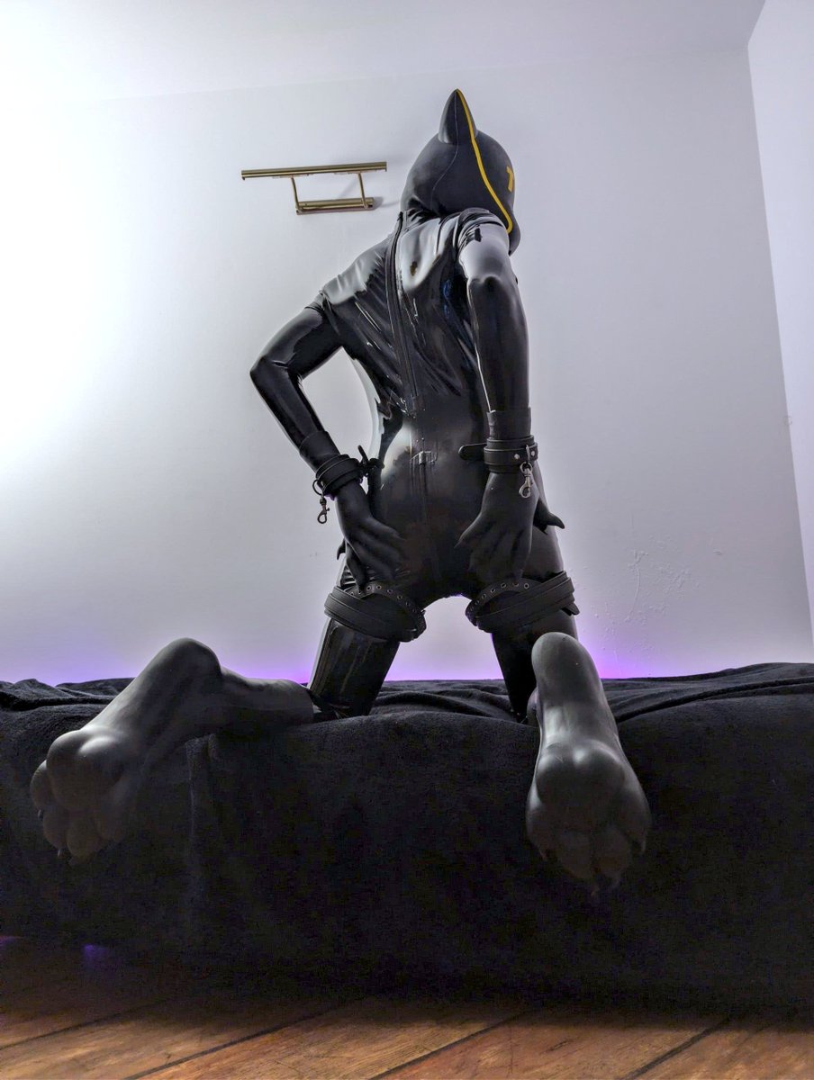ShinyKomur's tweet photo. Ligma paws B)

#latex #furry #drone https://t.co/59fypq47sZ