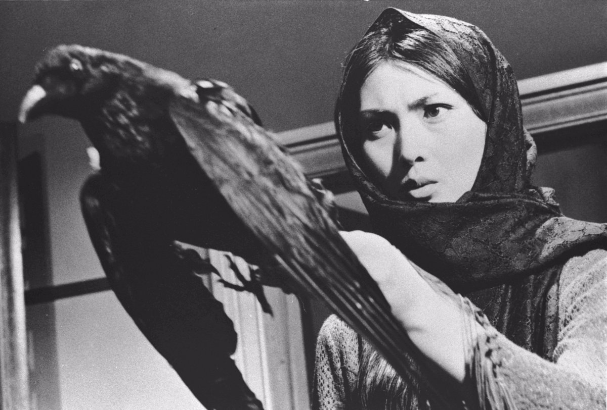 fymeikokaji's tweet photo. Meiko Kaji (梶芽衣子)  in Female Convict Scorpion: Beast Stable (女囚さそり　けもの部屋), 1973, directed by Shunya Ito (伊藤 俊也). https://t.co/3MoQSNNygx