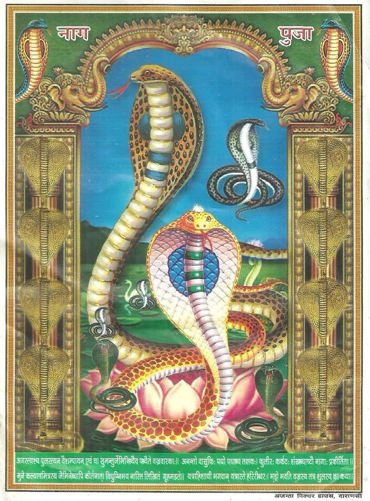 CosmicShakti37's tweet photo. August 17, 2026 marks a phenomenal energetic trifecta: the Sun entering Leo (Jyotish), Nag Panchami, and the 3rd Sawan Somwar. This is the ultimate masterclass in shadow integration.

The Sun in Leo represents absolute visibility, truth, and soul-level sovereignty. On the very same day, Nag Panchami asks us to honor the Nagas, the cosmic energies of Rahu and Ketu that govern our deep subconscious, our obsessions, hidden blocks, and unhealed traumas.

The convergence is highly symbolic: The cosmic light is being forced directly into the darkest corners of our psychological basement.

Many people fear the Snake (the betrayal, the chaos, the karmic loops). But on a Sawan Monday, we look to Mahadeva (Shiva), who wears the serpent as a symbol of complete mastery. He didn't run from the poison; He contained it through absolute stillness.

Today isn't a day to play victim to your planetary transits or your circumstances. It is a day to hold up the mirror. If you are dealing with heavy Rahu/Ketu activations or feel like external forces are trying to shake your peace, remember: a strong aura doesn't mean you never encounter venom; it means you are completely immune to its narrative.

Do the abhishek (pouring water), say your prayers (chant mantras), and let the old skin shed. It’s time to be accountable for your self and rule your own kingdom.