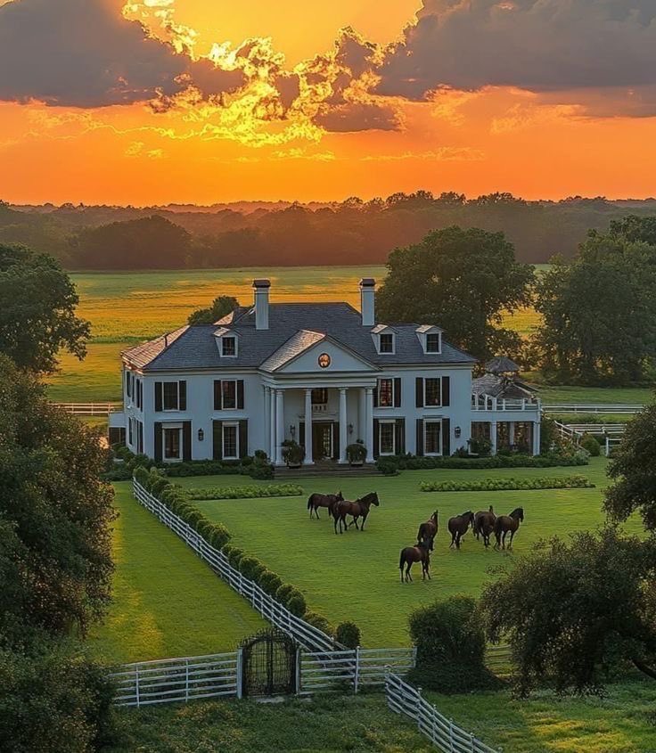 INTERIORPORN1's tweet photo. dream home 🏡 https://t.co/yfiDhskkGZ