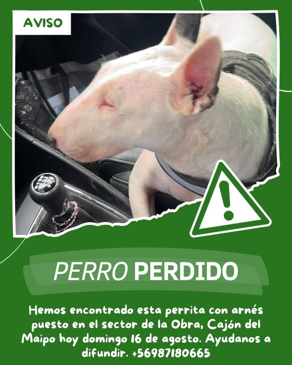 todopormiperro's tweet photo. https://t.co/sUJsgaTmEP