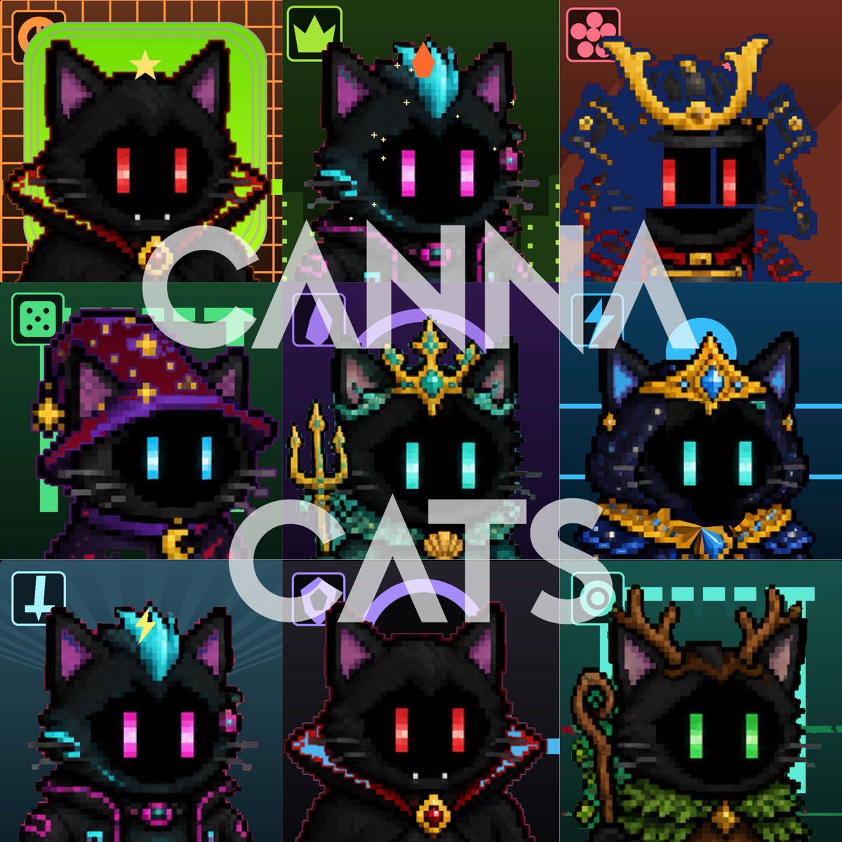 RBil267860's tweet photo. @NotRealCashper Let’s go Canna Cats 🚀🚀🚀🚀 https://t.co/TTi21579ca