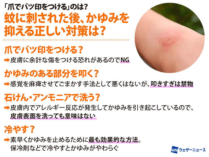 wni_jp's tweet photo. 【約8割が経験「バツ印」は逆効果】
まだまだ蚊が活発な時期です。ウェザーニュースの調査では、蚊に刺された後に爪でバツ印をつけた経験がある人が約8割に上りました。
痛みで気をそらすだけで、皮膚を傷つけるおそれも。素早く止めるには冷やすのが最も効果的だそうです。
https://t.co/Bq8DmZTG7r https://t.co/DS0X1trJCc