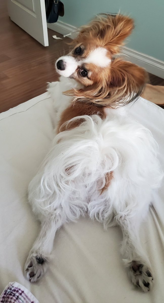 RgulrInvdr's tweet photo. Too cute.😆😘 https://t.co/v8HgUv2x5Z