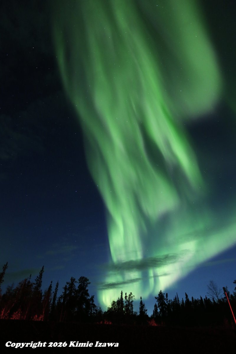 audrey19740719's tweet photo. #Aurora from #Yellowknife at #Pontoonlake
August 16, 2026 Sun 0:00-3:00am +8℃ Partly Cloudy
#NWT #ExploreNWT #SpectacularNWT
#northwestterritory #northernlights
#イエローナイフ #ノースウェストテリトリー
#オーロラ #オーロラ姫 #夏オーロラ https://t.co/nvJgLUiJBC