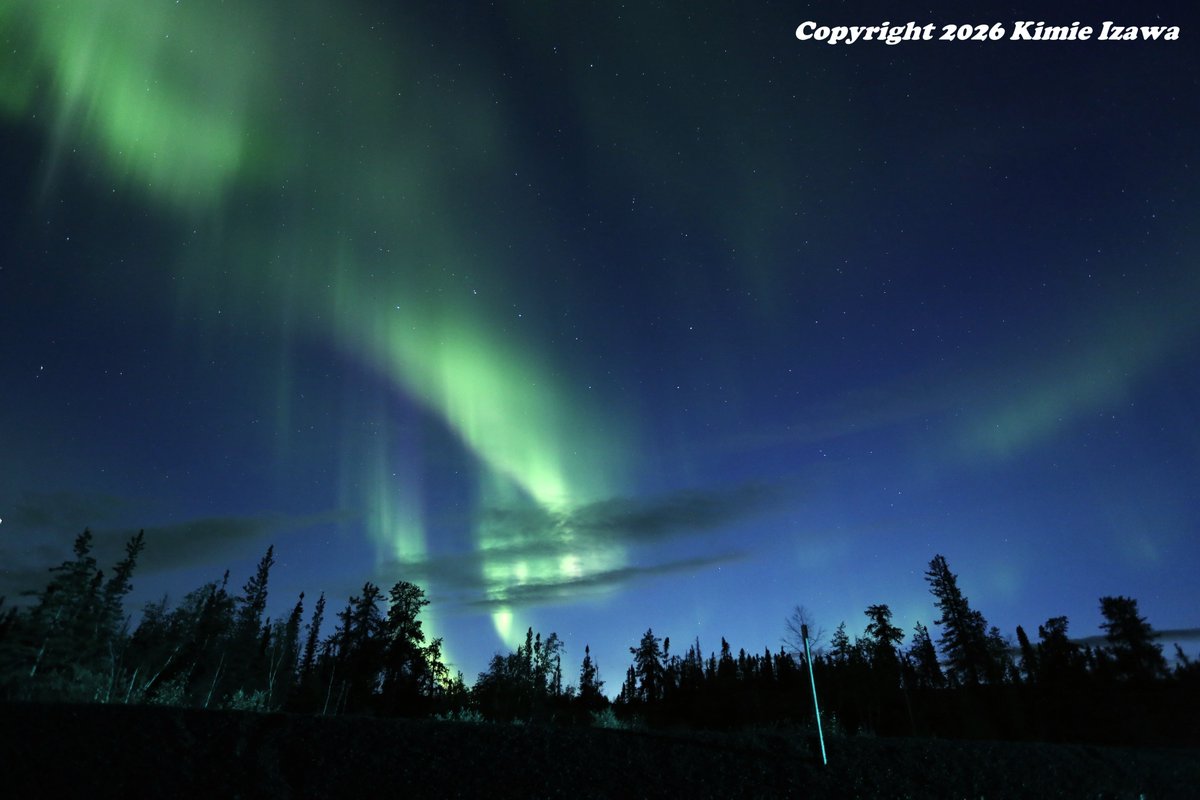 audrey19740719's tweet photo. #Aurora from #Yellowknife at #Pontoonlake
August 16, 2026 Sun 0:00-3:00am +8℃ Partly Cloudy
#NWT #ExploreNWT #SpectacularNWT
#northwestterritory #northernlights
#イエローナイフ #ノースウェストテリトリー
#オーロラ #オーロラ姫 #夏オーロラ https://t.co/CAADPjJSG0