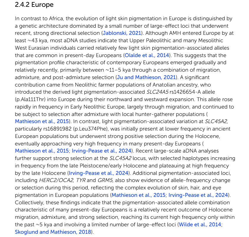 nrken19's tweet photo. The evolution of light skin pigmentation in Europe is distinguished by a genetic architecture dominated by a small number of large-effect loci that underwent recent, strong directional selection (Jablonski, 2021). Although AMH entered Europe by at least ∼43 kya, most aDNA studies indicate that Upper Paleolithic and many Mesolithic West Eurasian individuals carried relatively few light skin pigmentation-associated alleles that are common in present-day Europeans (Olalde et al., 2014).