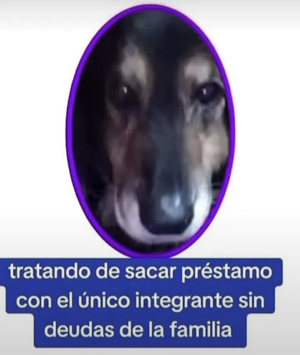 notafaso's tweet photo. https://t.co/DvZgmPjJCh