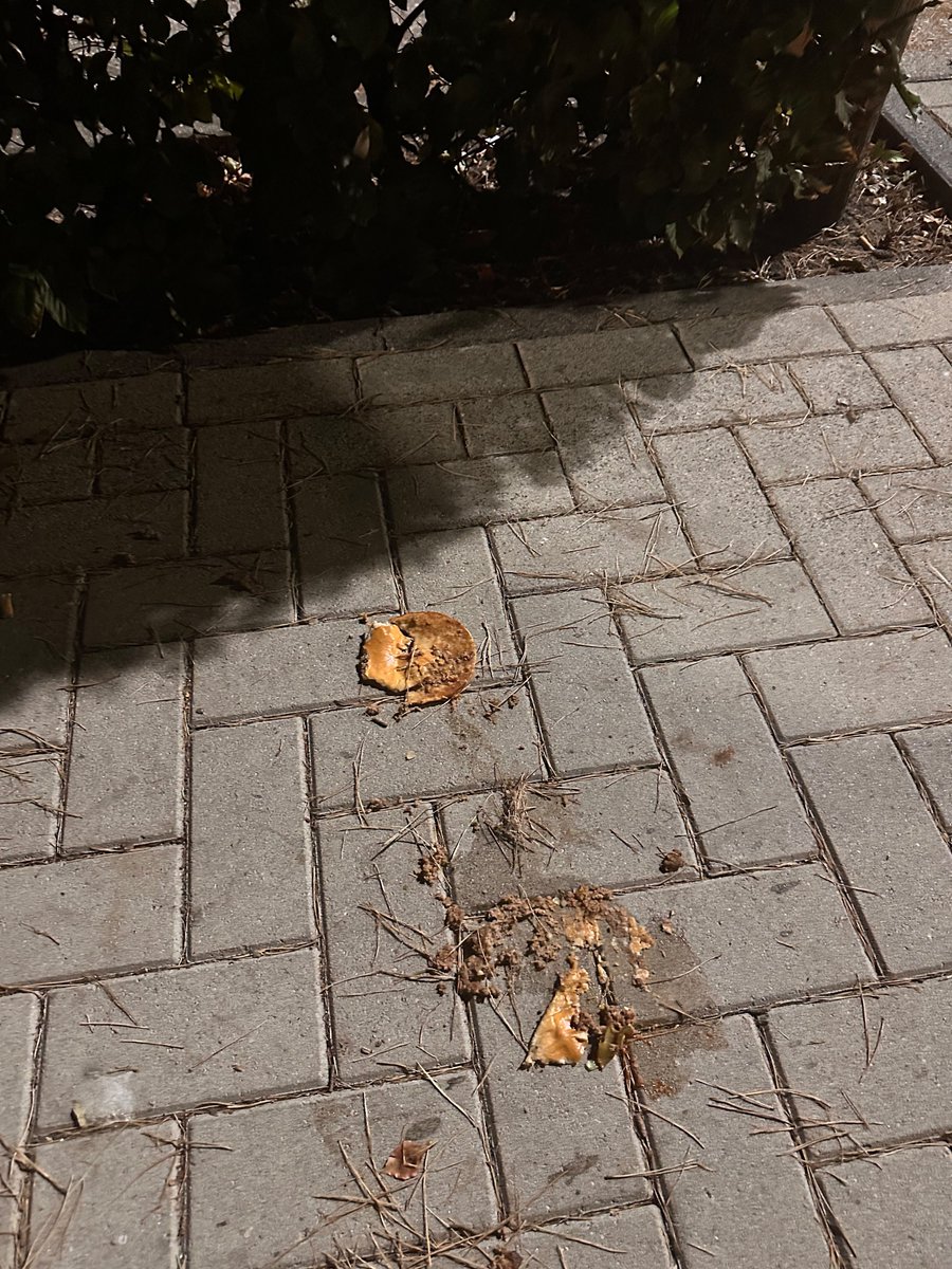 goddessyade's tweet photo. Wat zou hier toch aan de hand zijn? #findomNL #crush #McDonalds https://t.co/fLG4Vx7Qa9