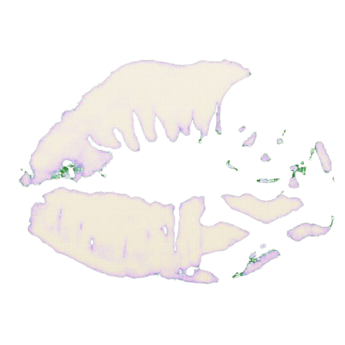 cniverus's tweet photo. ᅠᅠ
  𝚠ዞ𝖔’𝚜      𝒕𝙷𝐢𝐬      𝓲𝚁𝚁𝙴 ͡ˢᶥˢᵗ𝐢𝑏𝔩𝖊
  𝐜𝑟𝒆𝐚𝑡𝐮𝐫𝑒       ࣪ ፧      𝚠𝚑𝚘      ዞ𝐚𝒔      ᴀꞃ      𝔦𝔫𝑠𝔞𝔱𝔦𝔞𝔟𝔩𝔢        …        𝒍𖦹̷𝚟𝐞        𝔣ℴ𝐫        𝒕𝙷𝐞        𝖉𝐞𝙰𝒕ዞ     .ᐣ https://t.co/181EQ6shcI