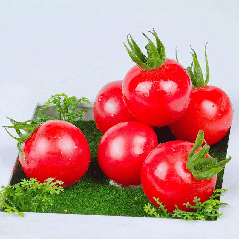 Samuelrakas1's tweet photo. [Just tried the local fresh cherry tomatoes  Crisp, sweet, no weird aftertaste—perfect for salads or snacking! 10/10 would repurchase. #FoodFind #IngredientReview]， https://t.co/CMA04JXD2z