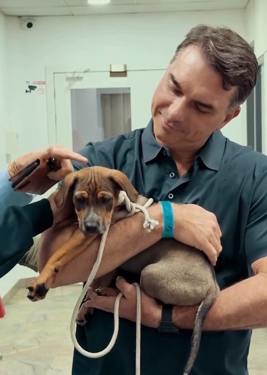 NewsLiberdade's tweet photo. 🚨AGORA - Flavio Bolsonaro ganha um cachorro de um apoiador no RJ https://t.co/EtYIyOJ3KN
