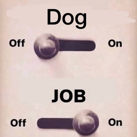 Angel_Barks's tweet photo. Clocking into work https://t.co/U0fNAlqArK