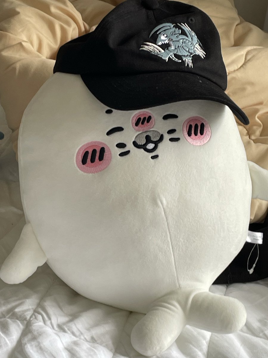 shio_sendoh's tweet photo. ちょっと小さいわ😢 https://t.co/0P0V1IVz9i