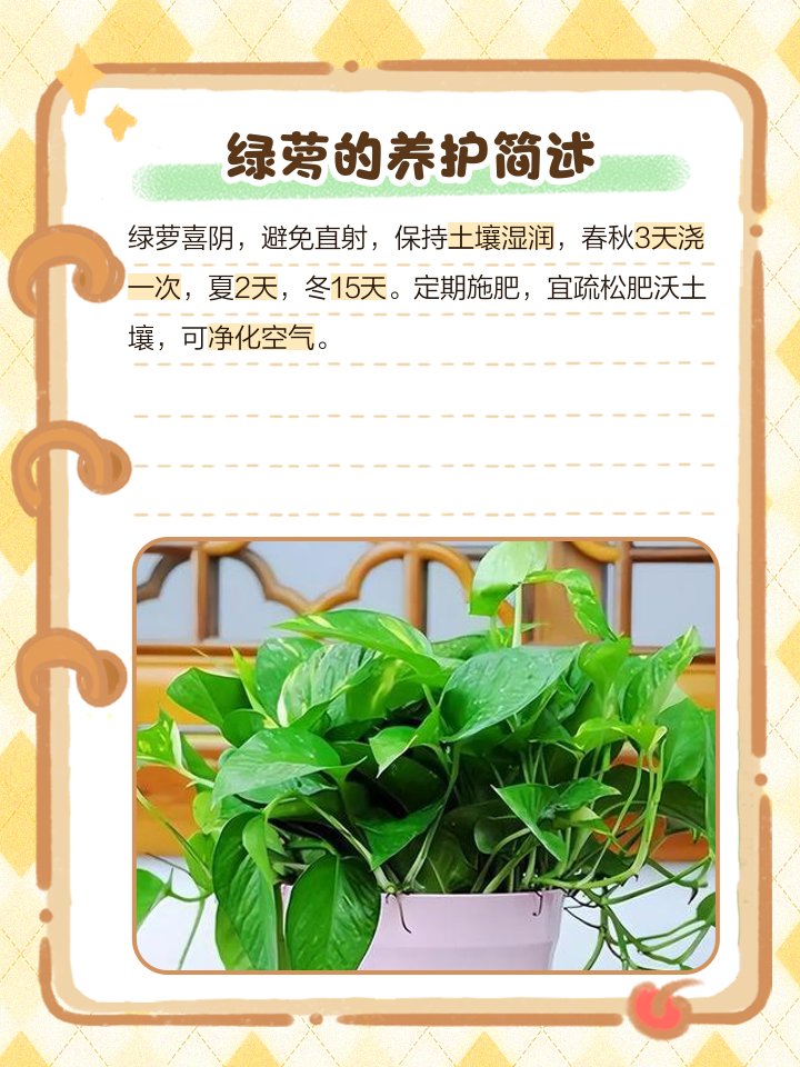 fatin_maha's tweet photo. Water your pothos once a week in spring, place it in bright indirect light, and wipe its leaves weekly to remove dust for lush growth! https://t.co/PNv2jw7HFc