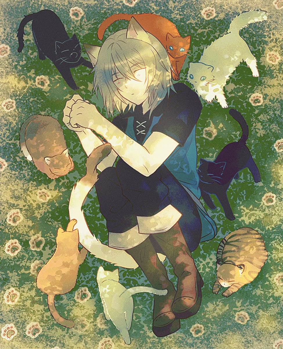 sixxjdps0's tweet photo. #lamento 🐈🐾 https://t.co/C3RQmev0iq