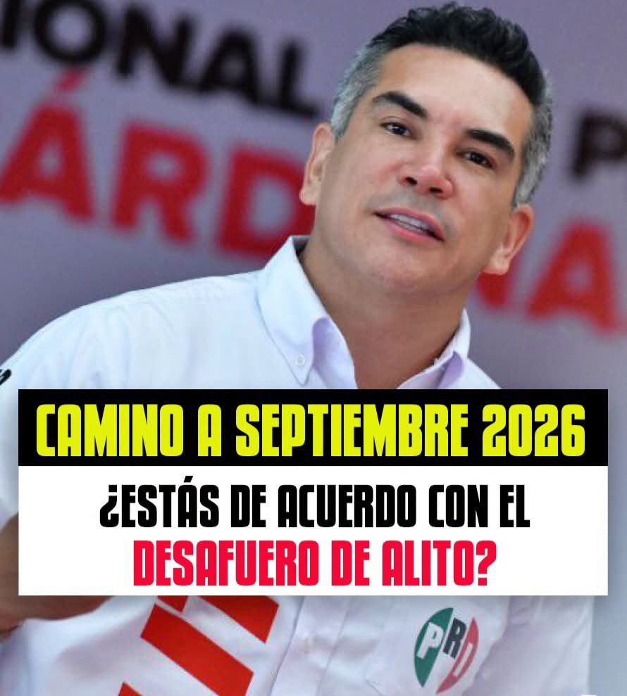 violetamg10078's tweet photo. Y tú querido amigo y amiga estás de acuerdo que en Septiembre se le quite el fuero a #AlitoMoreno? 
👇🏻  🤚🏻 https://t.co/6vEiHs18Uh